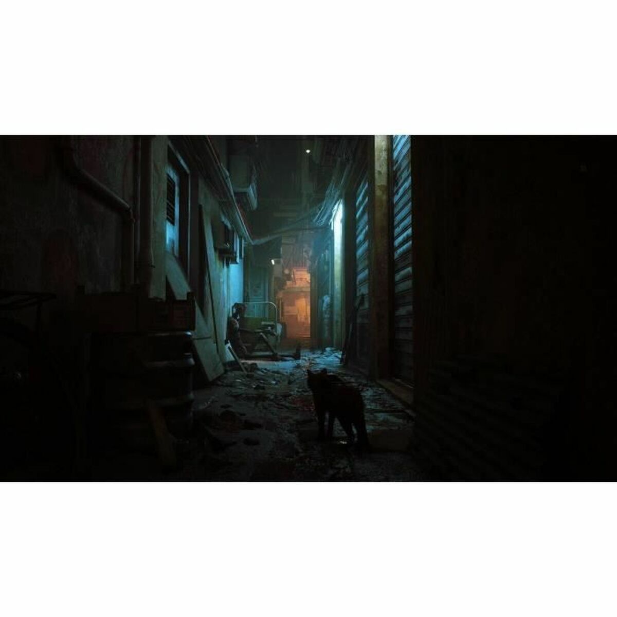 Video game for Switch Just For Games Stray Video game for Switch Just For Games Stray