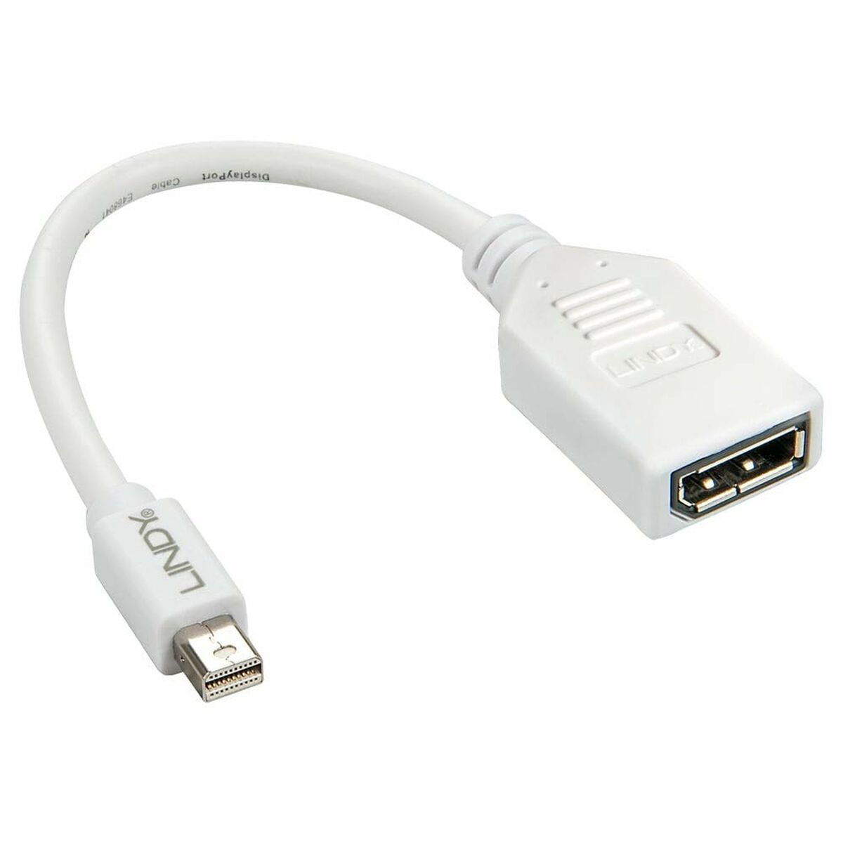 Mini DisplayPort to DisplayPort Adapter LINDY 41021 White Mini DisplayPort to DisplayPort Adapter LINDY 41021 White