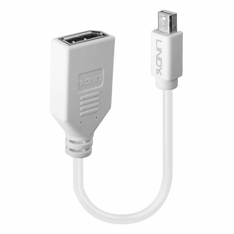 Mini DisplayPort to DisplayPort Adapter LINDY 41021 White Mini DisplayPort to DisplayPort Adapter LINDY 41021 White
