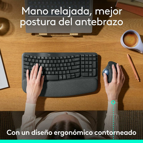 Mouse Logitech 910-007029 Mouse Logitech 910-007029