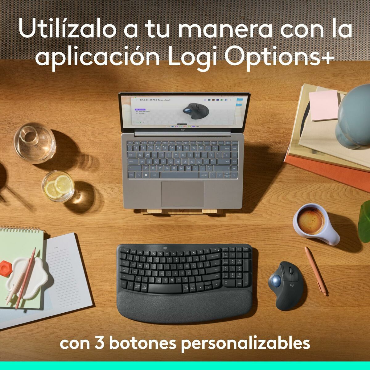 Mouse Logitech 910-007029 Mouse Logitech 910-007029