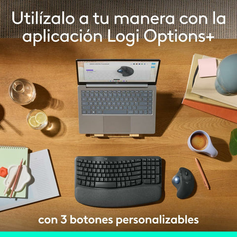 Mouse Logitech 910-007029 Mouse Logitech 910-007029