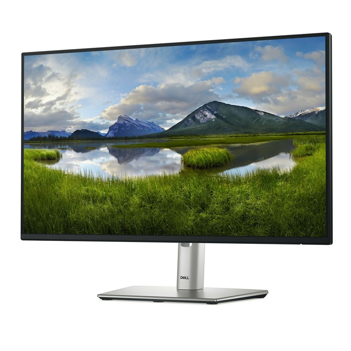 Monitor Dell P2425H Full HD 24" 100 Hz Monitor Dell P2425H Full HD 24" 100 Hz