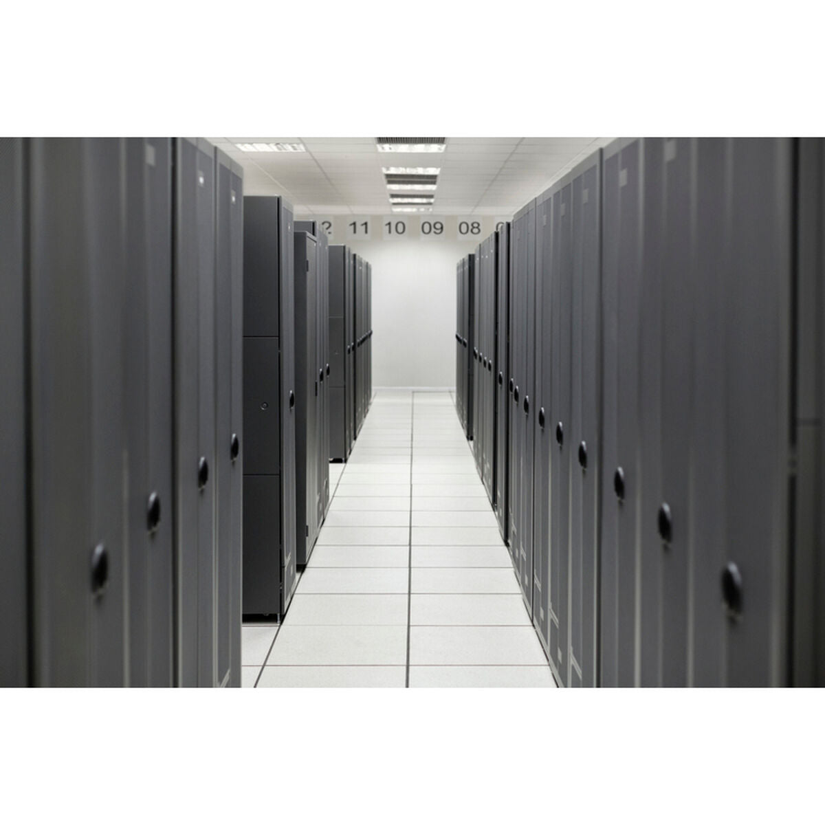 UTP Category 6 Rigid Network Cable HPE P53484-B21 Black UTP Category 6 Rigid Network Cable HPE P53484-B21 Black