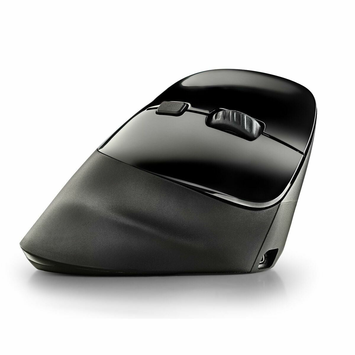 Mouse NGS Mouse NGS