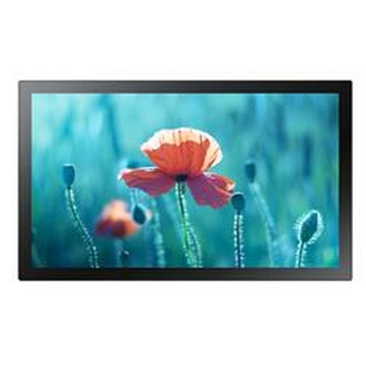 Monitor Samsung LH13QBRMBGCXEN Full HD 60 Hz Monitor Samsung LH13QBRMBGCXEN Full HD 60 Hz