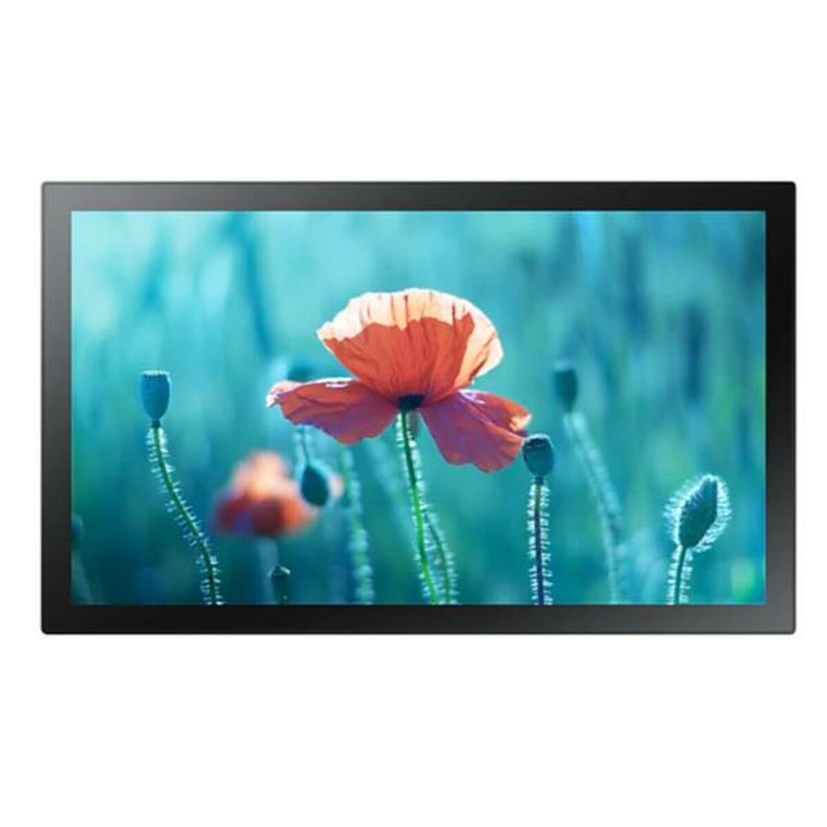 Monitor Samsung LH13QBRMBGCXEN Full HD 60 Hz Monitor Samsung LH13QBRMBGCXEN Full HD 60 Hz