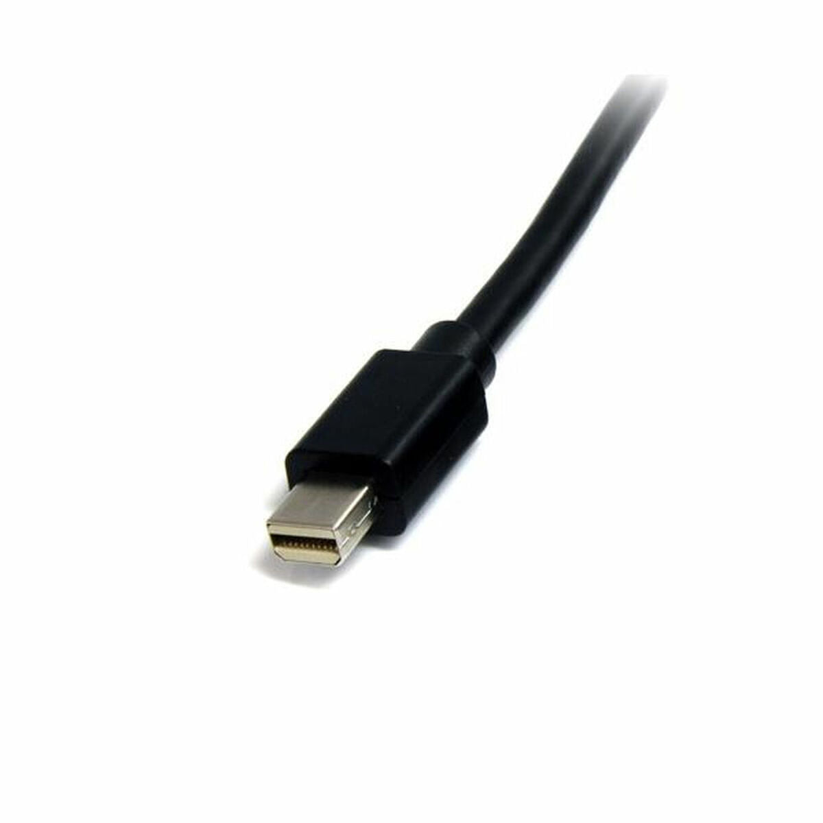 Mini Display Port cable Startech MDISP2M              (2 m) 4K Ultra HD Black Mini Display Port cable Startech MDISP2M              (2 m) 4K Ultra HD Black
