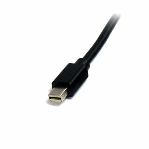 Mini Display Port cable Startech MDISP2M              (2 m) 4K Ultra HD Black Mini Display Port cable Startech MDISP2M              (2 m) 4K Ultra HD Black