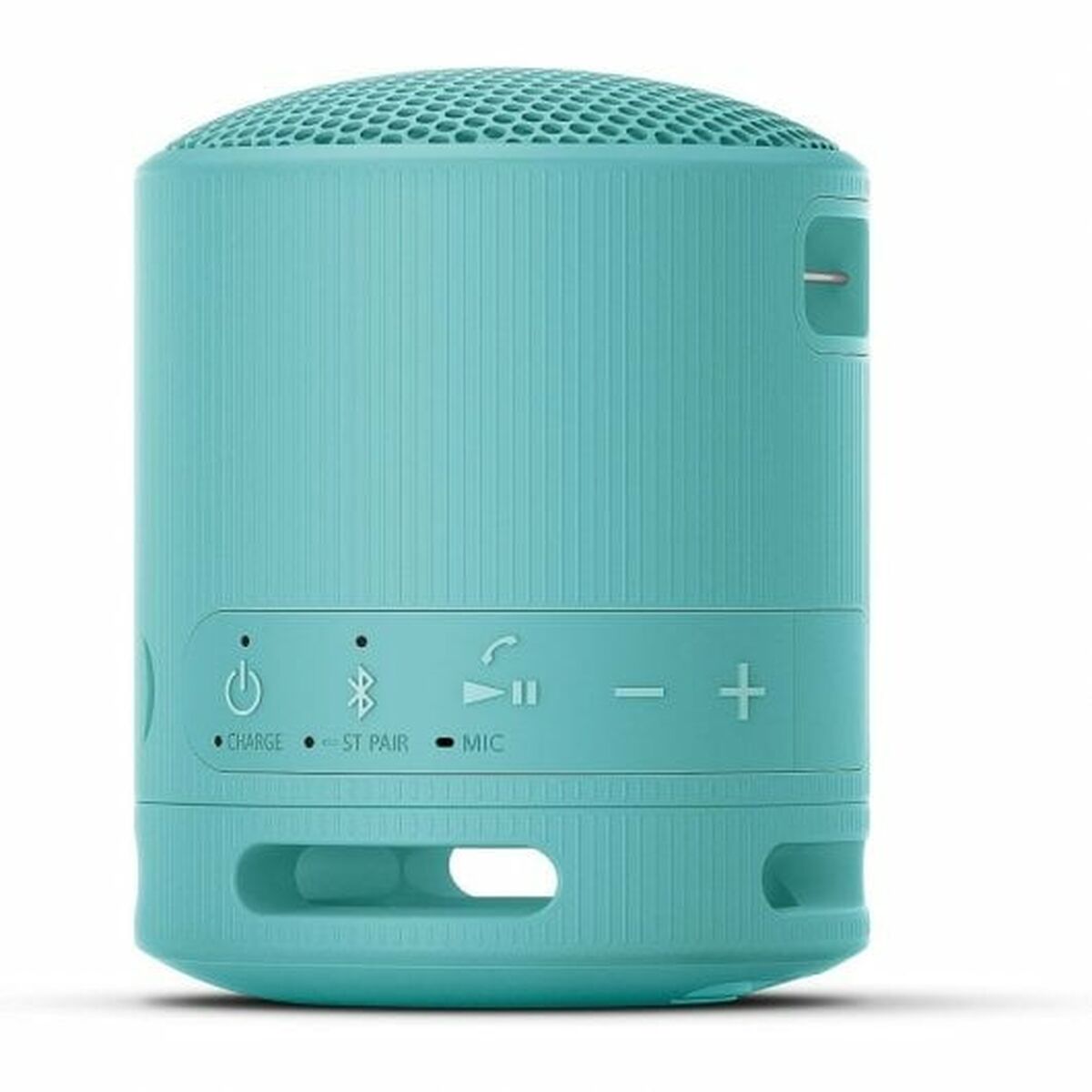 Portable Bluetooth Speakers Sony SRSXB100L.CE7 Blue