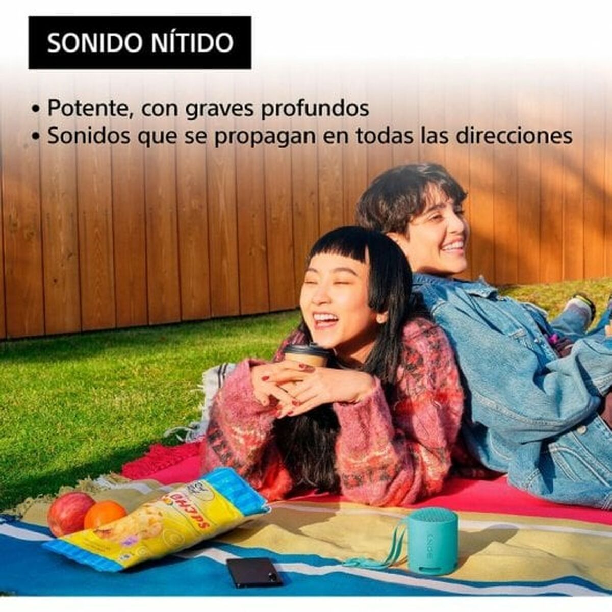 Portable Bluetooth Speakers Sony SRSXB100L.CE7 Blue