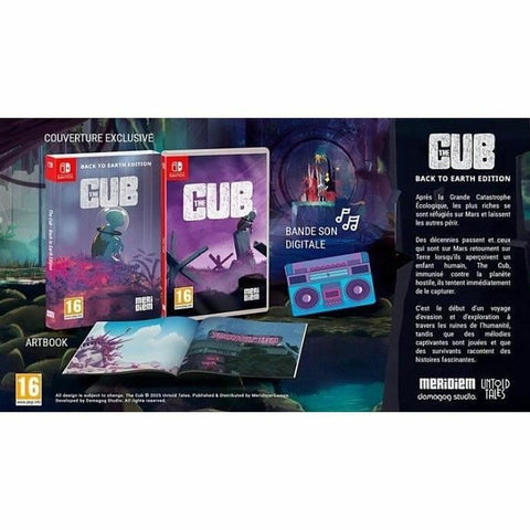 Video game for Switch Microids